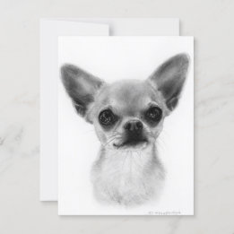 Hand getekend Kortharige Chihuahua - Gentle Expres Briefkaart