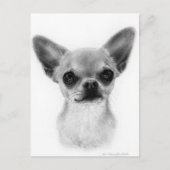 Hand getekend Kortharige Chihuahua - Gentle Expres Briefkaart (Voorkant)
