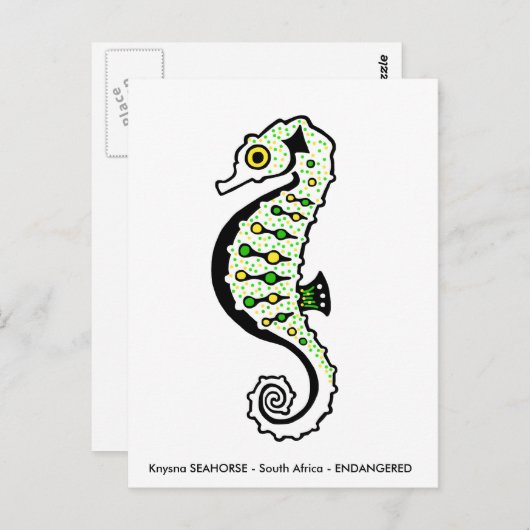 Hand getekend - SEAHORSE- Dierenvriend - Wildlife Briefkaart (Voorkant / Achterkant)