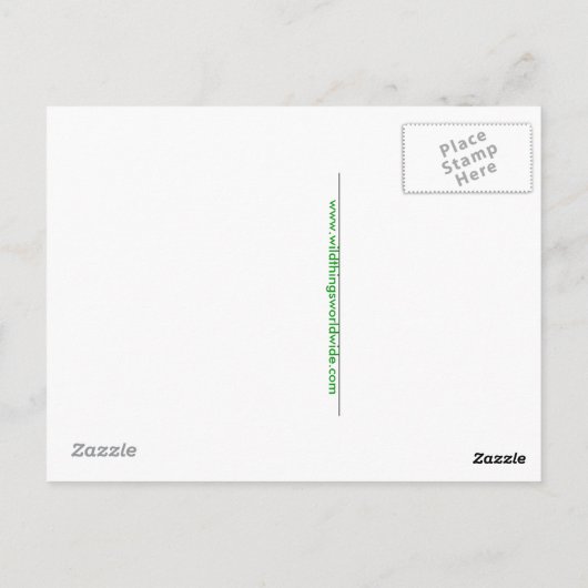 Hand getekend - SEAHORSE- Dierenvriend - Wildlife Briefkaart (Achterkant)