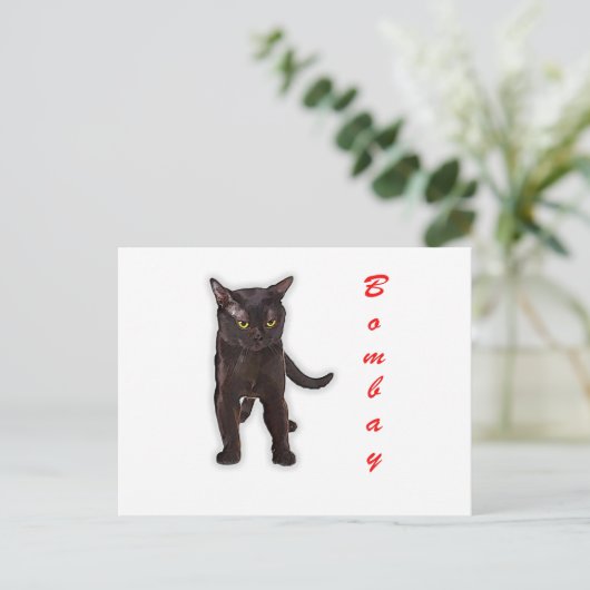 Hand Getekende Grappige Bombay Kat Japan Cadeau Va Briefkaart (Staand voorkant)