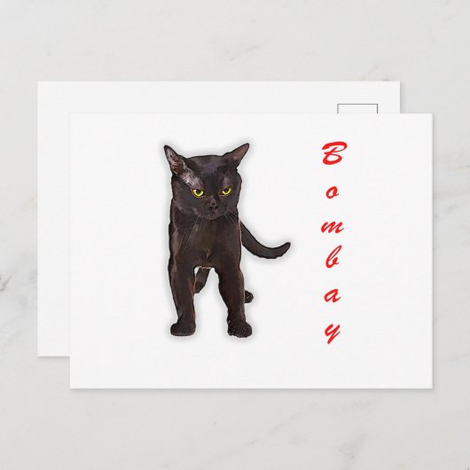Hand Getekende Grappige Bombay Kat Japan Cadeau Va Briefkaart (Voorkant / Achterkant)