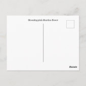 Hand getrokken Bloeiende roze dianthus bloem Briefkaart (Achterkant)