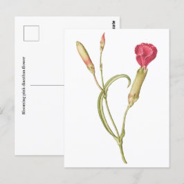 Hand getrokken Bloeiende roze dianthus bloem Briefkaart