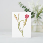 Hand getrokken Bloeiende roze dianthus bloem Briefkaart (Staand voorkant)