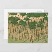 Hand getrokken Bos Feestdagenkaart (Voorkant / Achterkant)