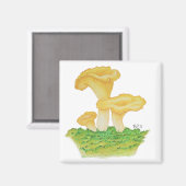 Hand getrokken Chanterelle Mushroom Magneet (Voorkant / Achterkant)