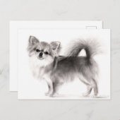 Hand getrokken Chihuahua Briefkaart (Voorkant / Achterkant)