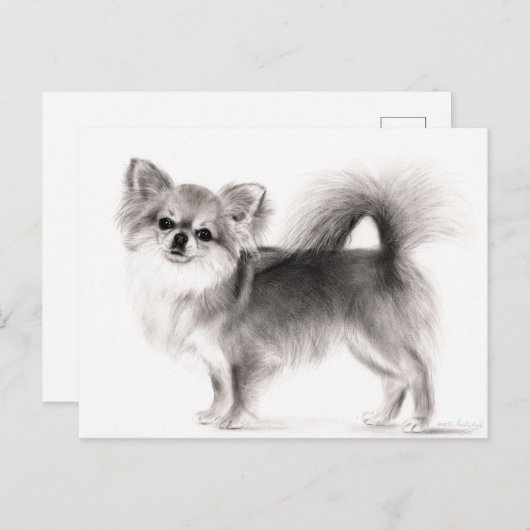 Hand getrokken Chihuahua Briefkaart (Voorkant / Achterkant)