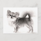 Hand getrokken Chihuahua Briefkaart (Voorkant)