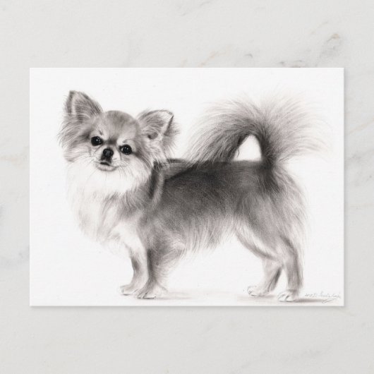 Hand getrokken Chihuahua Briefkaart (Voorkant)