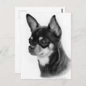 Hand getrokken Chihuahua Head Study Briefkaart (Voorkant / Achterkant)