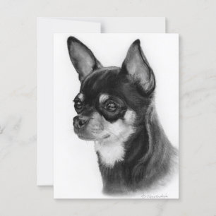 Hand getrokken Chihuahua Head Study Briefkaart