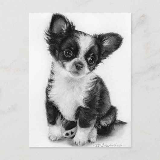 Hand getrokken Chihuahua Puppy kunstwerk Briefkaart (Voorkant)