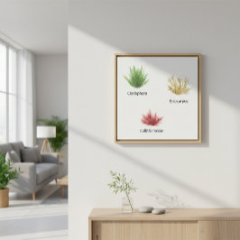 Hand getrokken cladophora, ectocarpus zeewier canvas afdruk