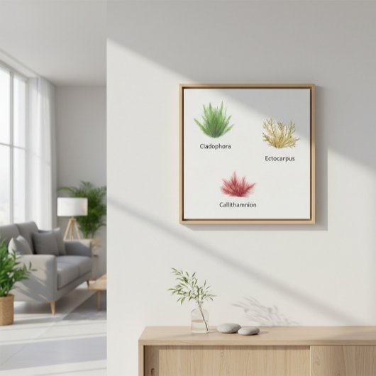 Hand getrokken cladophora, ectocarpus zeewier canvas afdruk