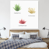 Hand getrokken cladophora, ectocarpus zeewier canvas afdruk (Insitu (Slaapkamer))