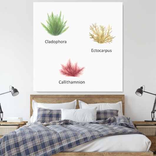 Hand getrokken cladophora, ectocarpus zeewier canvas afdruk (Insitu (Slaapkamer))