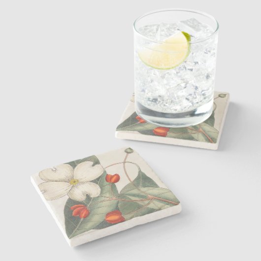 🍃 Hand-getrokken Dogwood Bloem Illustratie Stenen Onderzetter (Zijkant)