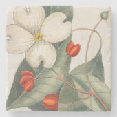 🍃 Hand-getrokken Dogwood Bloem Illustratie Stenen Onderzetter (Voorkant)