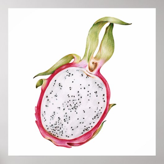 Hand getrokken draak fruit illustratie poster (Voorkant)