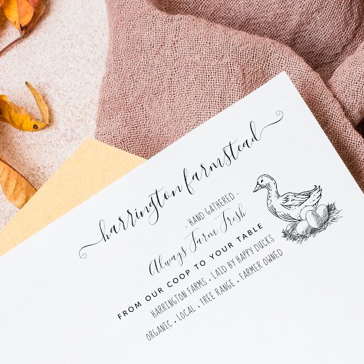 Hand-getrokken eend familie Boerderij Fresh Eggs k Rubberstempel