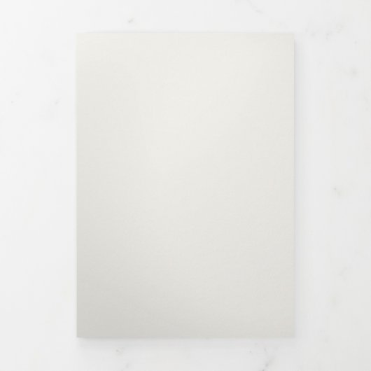  Hand Getrokken Foto Huwelijk Drieluik Uitnodiging (Cover)