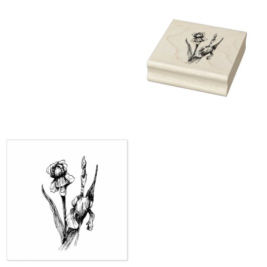 Hand getrokken Iris Bloem, originele beeldende kun Rubberstempel (Gestempeld)