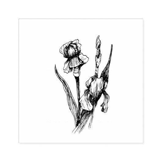 Hand getrokken Iris Bloem, originele beeldende kun Rubberstempel (Afrduk)