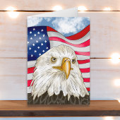 Hand getrokken kale adelaar en Amerikaanse vlag ve Kaart