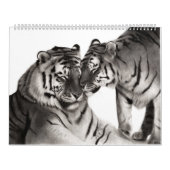 Hand getrokken katten wilde en binnenlandse katach kalender (Hoes)