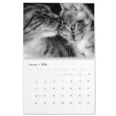 Hand getrokken katten wilde en binnenlandse katach kalender (Jan 2026)