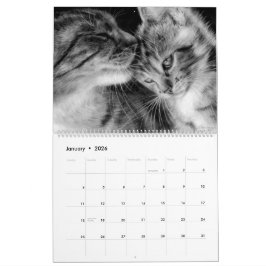 Hand getrokken katten wilde en binnenlandse katach kalender