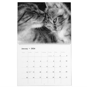 Hand getrokken katten wilde en binnenlandse katach kalender