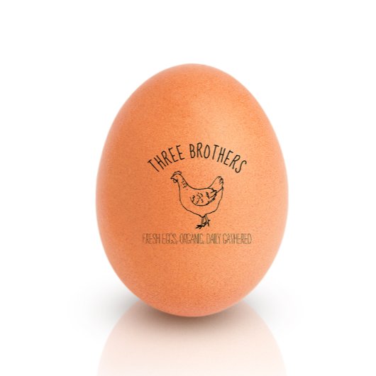 Hand-getrokken Kip Eenvoudige Boerderij Eieren Kle Rubberstempel