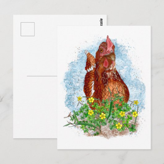 Hand getrokken Kip Kunst Briefkaart (Voorkant / Achterkant)