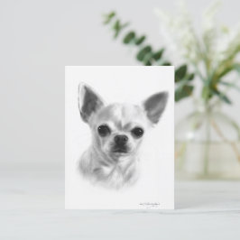 Hand getrokken kortharige Chihuahua Briefkaart