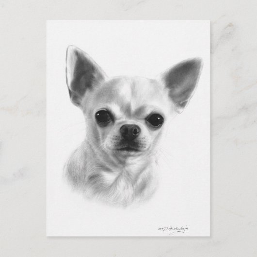 Hand getrokken kortharige Chihuahua Briefkaart (Voorkant)