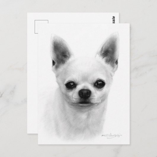 Hand getrokken Kortharige Chihuahua - Realistische Briefkaart (Voorkant / Achterkant)