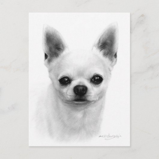 Hand getrokken Kortharige Chihuahua - Realistische Briefkaart (Voorkant)