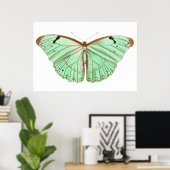 Hand getrokken laertes vlinder  illustratie poster (Thuiskantoor)