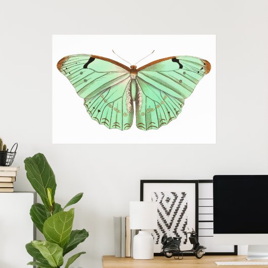 Hand getrokken laertes vlinder  illustratie poster (Thuiskantoor)