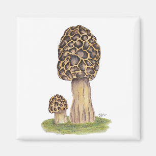 Hand getrokken Morel Mushroom Magneet