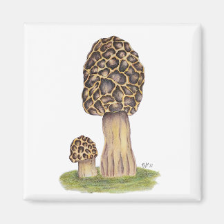 Hand getrokken Morel Mushroom Magneet