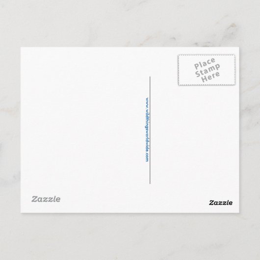 Hand getrokken Pinguïn - Bedreigd dier - Blauw Briefkaart (Achterkant)