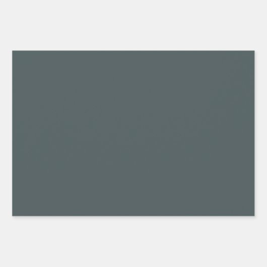 Hand getrokken  winterbloemen donkergroen inpakpapier vel (Voorkant 3)