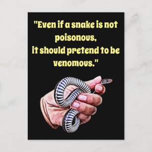Hand Holding baby Snake Quote Reptielen Dieren Art Briefkaart