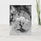 Hand Holding Lilies – Black and White Condolence Kaart (Voorkant)