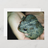 Hand met een paddenkikker feestdagenkaart (Voorkant / Achterkant)