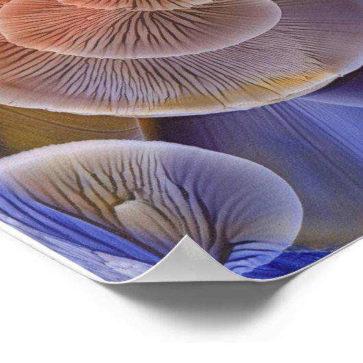 Hand Painted Abstract Floral Art Poster (Hoek)